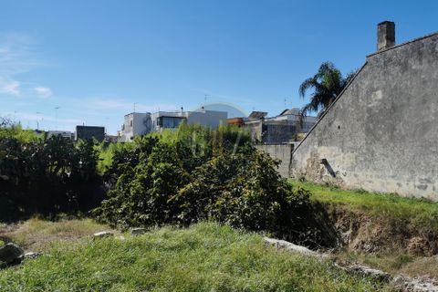 Terra a Calimera, Lecce, Calimera - € 85.000 | Ref: SE008 - foto 6
